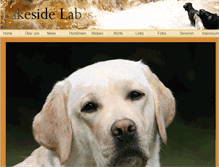 Tablet Screenshot of lakesidelabs.eu